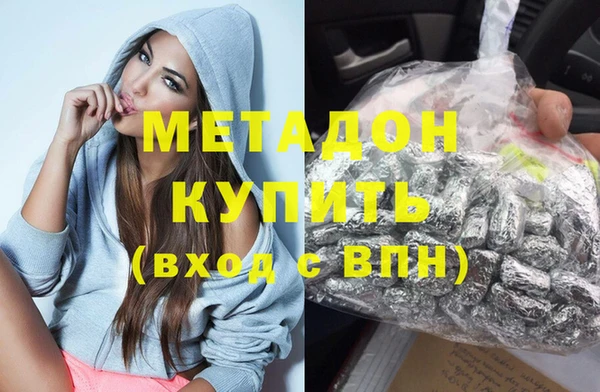сатива Беломорск