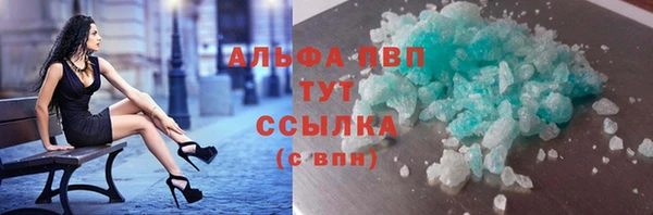 сатива Беломорск