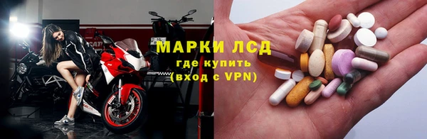 сатива Беломорск