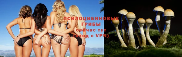 дистиллят марихуана Белокуриха