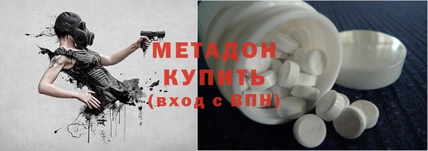сатива Беломорск