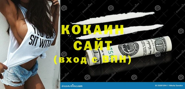 сатива Беломорск