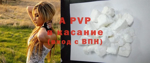 сатива Беломорск